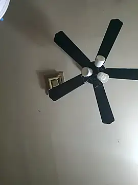 Snapshot of Hugebwc102 chatting on November 23, 2025, 8:03 am Hugebwc102 online show from November 23, 2025, 8:03 am