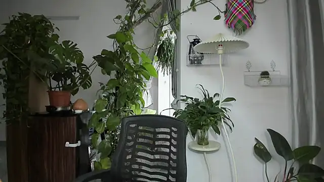 Oliver Nl online show from November 19, 2025, 4:56 am