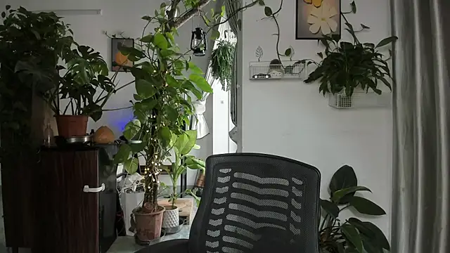 Oliver Nl online show from December 14, 2025, 5:02 am