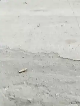 Snapshot of Monster_Bigdick chatting on December 7, 2024, 10:56 am Monster Bigdick online show from December 7, 2024, 10:56 am