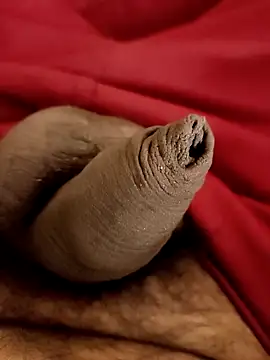 Snapshot of Ashish02345 chatting on January 25, 2025, 8:31 pm Ashish02345 online show from January 25, 2025, 8:31 pm