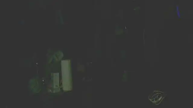 perversalus online show from December 14, 2025, 5:29 pm