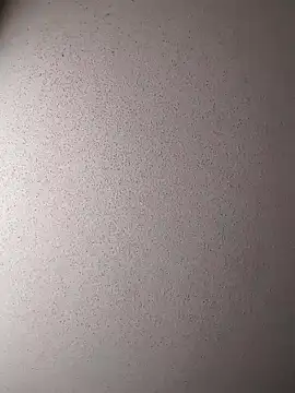 Dogz n daugthers online show from December 17, 2024, 7:48 pm