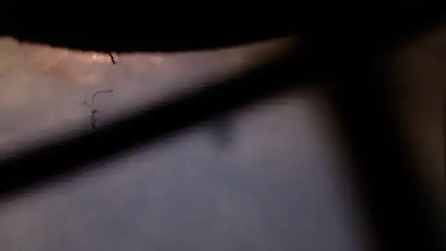 Cordt30 online show from February 12, 2026, 4:46 pm