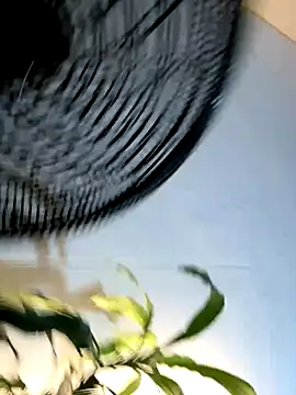  Miguel100 online show from November 6, 2025, 2:56 am