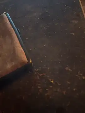 Snapshot of FreshWonder0 chatting on November 17, 2025, 5:19 pm FreshWonder0 online show from November 17, 2025, 5:19 pm