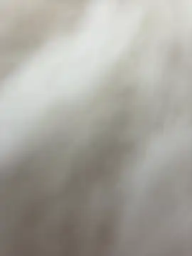 Snapshot of NewLale chatting on January 27, 2025, 6:30 am NewLale online show from January 27, 2025, 6:30 am