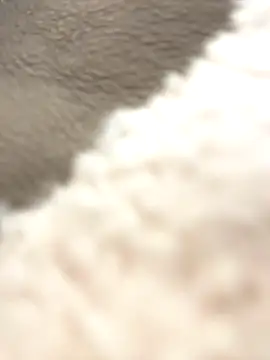 Snapshot of NewLale chatting on October 12, 2025, 3:38 am NewLale online show from October 12, 2025, 3:38 am