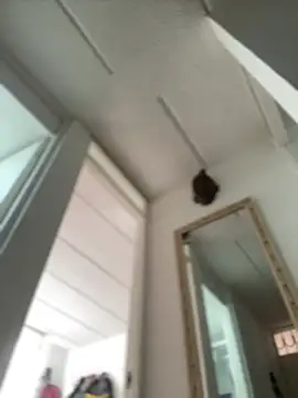 Mila Morgan online show from February 27, 2025, 2:43 pm