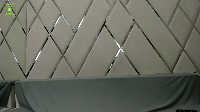 Snapshot of BrandonNorris chatting on January 20, 2025, 3:48 am BrandonNorris online show from January 20, 2025, 3:48 am