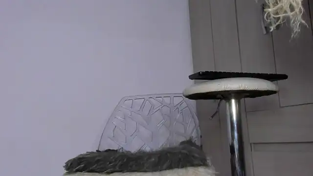 Kendall Hotsexy x online show from May 20, 2026, 7:03 am
