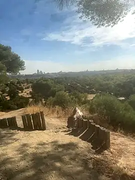 Chofle1 online show from October 8, 2025, 9:40 am