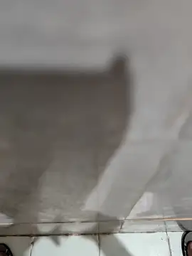 joejoe7 online show from November 17, 2025, 1:33 am