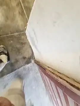 Snapshot of robertilevis chatting on February 27, 2026, 8:58 am robertilevis online show from February 27, 2026, 8:58 am