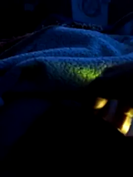 mivergateculeabienrico online show from February 4, 2026, 7:47 am