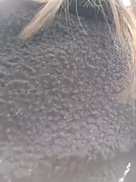 Violeta 12- online show from March 18, 2025, 7:31 pm