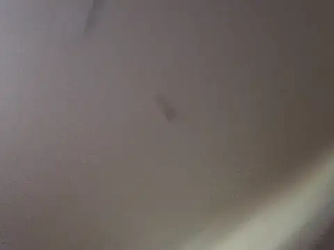 Gin4Cole online show from September 25, 2025, 11:52 pm