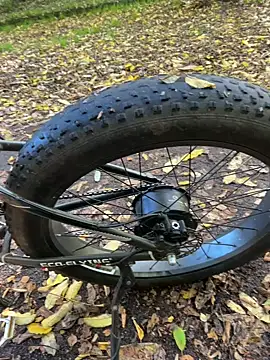 Shyboy817 online show from October 28, 2025, 2:20 pm