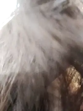 Snapshot of Kiritika_1 chatting on March 25, 2026, 2:39 am Kiritika 1 online show from March 25, 2026, 2:39 am