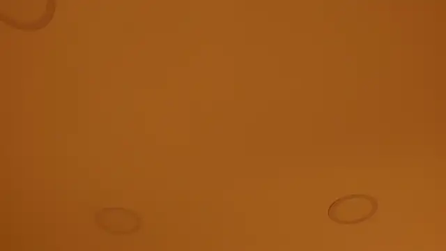 nakamura sam online show from April 8, 2026, 10:04 am