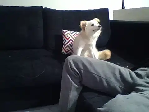 Snapshot of KikiLovesD chatting on December 31, 2024, 8:34 pm KikiLovesD online show from December 31, 2024, 8:34 pm