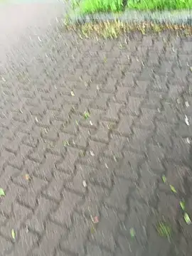  xPani x2 online show from June 1, 2026, 6:15 am