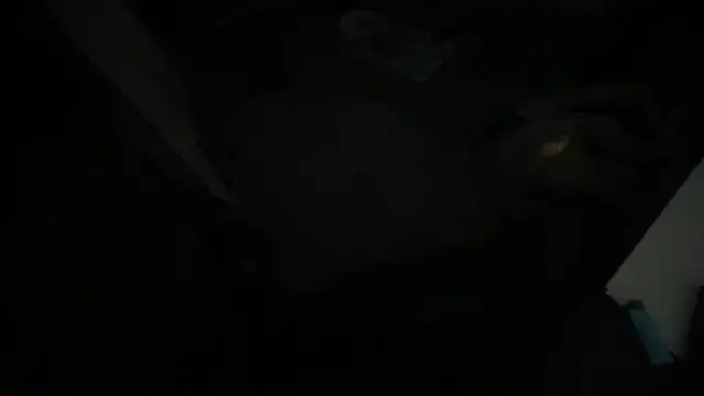 gentlewave90 online show from January 26, 2025, 6:07 am