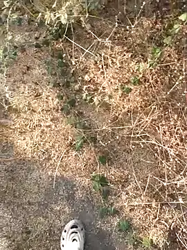 Snapshot of Ajith_mvi chatting on March 21, 2026, 11:37 am Ajith mvi online show from March 21, 2026, 11:37 am