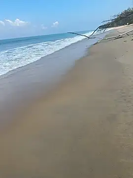 sexntease online show from March 5, 2025, 3:08 am