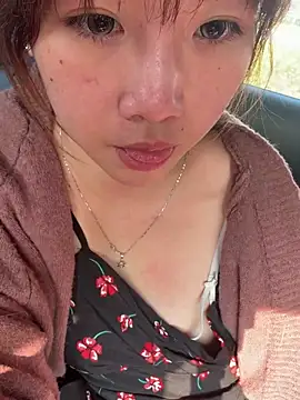 Snapshot of linko12334 chatting on January 7, 2025, 7:20 am linko12334 online show from January 7, 2025, 7:20 am