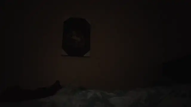 hailzeffn online show from November 13, 2025, 2:10 am