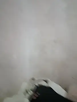 LuisXxH online show from December 15, 2024, 2:27 pm