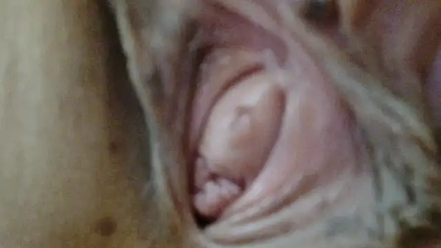 sonyx online show from March 1, 2026, 12:18 pm