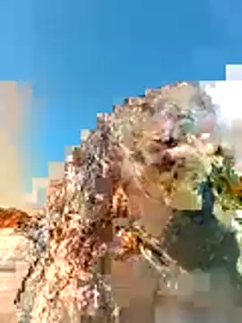vulgovic  online show from May 12, 2026, 7:22 pm