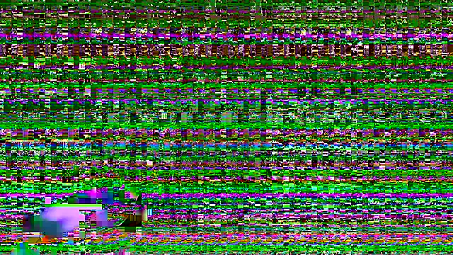 Smoker Ginger online show from October 8, 2025, 2:04 pm