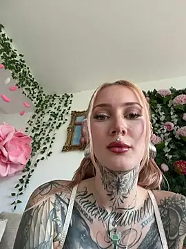 Stella-Kink online show from February 28, 2026, 1:01 pm