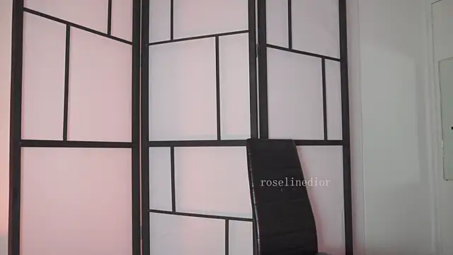 Snapshot of roselinedior chatting on February 24, 2026, 4:49 pm roselinedior online show from February 24, 2026, 4:49 pm