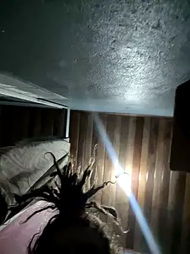 kamasutra20 online show from April 14, 2026, 12:27 am