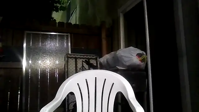 MrDickUdown24 7 online show from February 9, 2026, 4:05 am