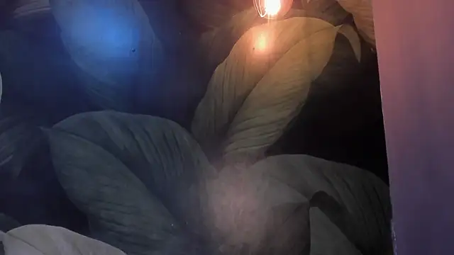 sweett dirty online show from March 7, 2025, 3:28 pm