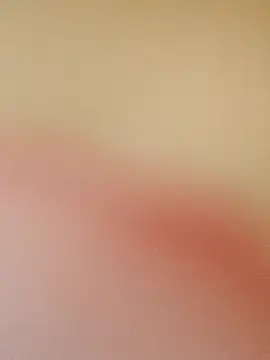 zhenzhen521 online show from May 19, 2026, 3:18 pm