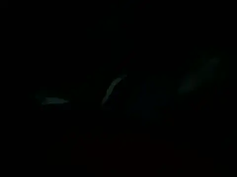 Snapshot of Billythekidd1978 chatting on March 22, 2025, 5:20 pm Billythekidd1978 online show from March 22, 2025, 5:20 pm