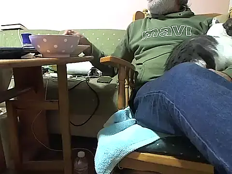 zormen355 online show from November 14, 2025, 7:34 pm