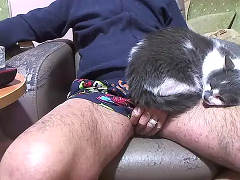 zormen355 online show from April 8, 2026, 7:47 pm