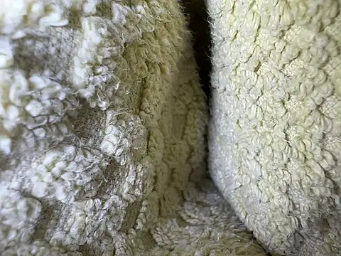 Amarok39 online show from February 13, 2025, 12:54 pm