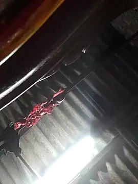 HotSexyBoudi online show from November 4, 2025, 8:46 am