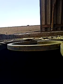 Snapshot of HotSexyBoudi chatting on May 7, 2026, 8:42 am HotSexyBoudi online show from May 7, 2026, 8:42 am