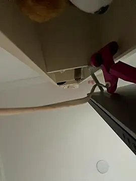 Kimmymadison- online show from February 13, 2026, 8:27 pm