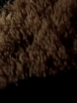 ySqmbVanbe online show from March 7, 2026, 1:57 am