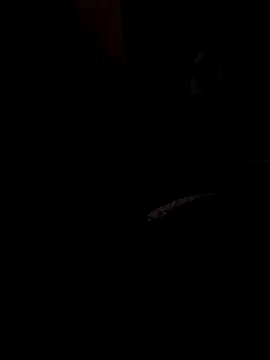 ySqmbVanbe online show from March 13, 2026, 8:43 am